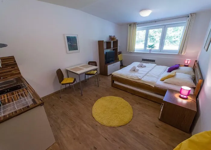 Apartman Lipno 20