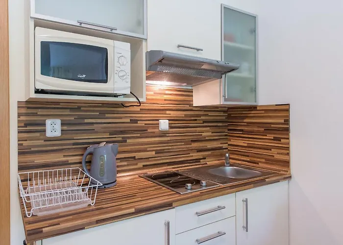 Apartman Lipno 20