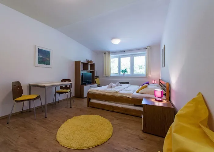 Apartman Lipno 20
