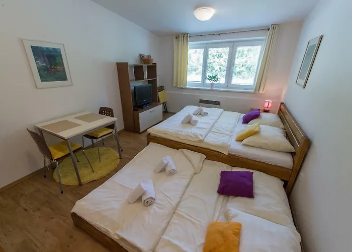 Apartman Lipno 20