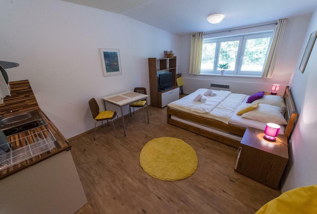 Apartment Lipno 20