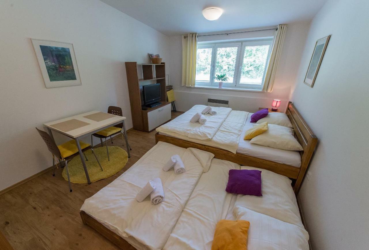 Apartment Lipno 20